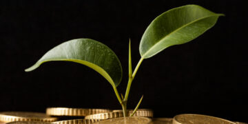 Investimenti Sostenibili in Italia: Crescita e Sfide del Mercato ESG