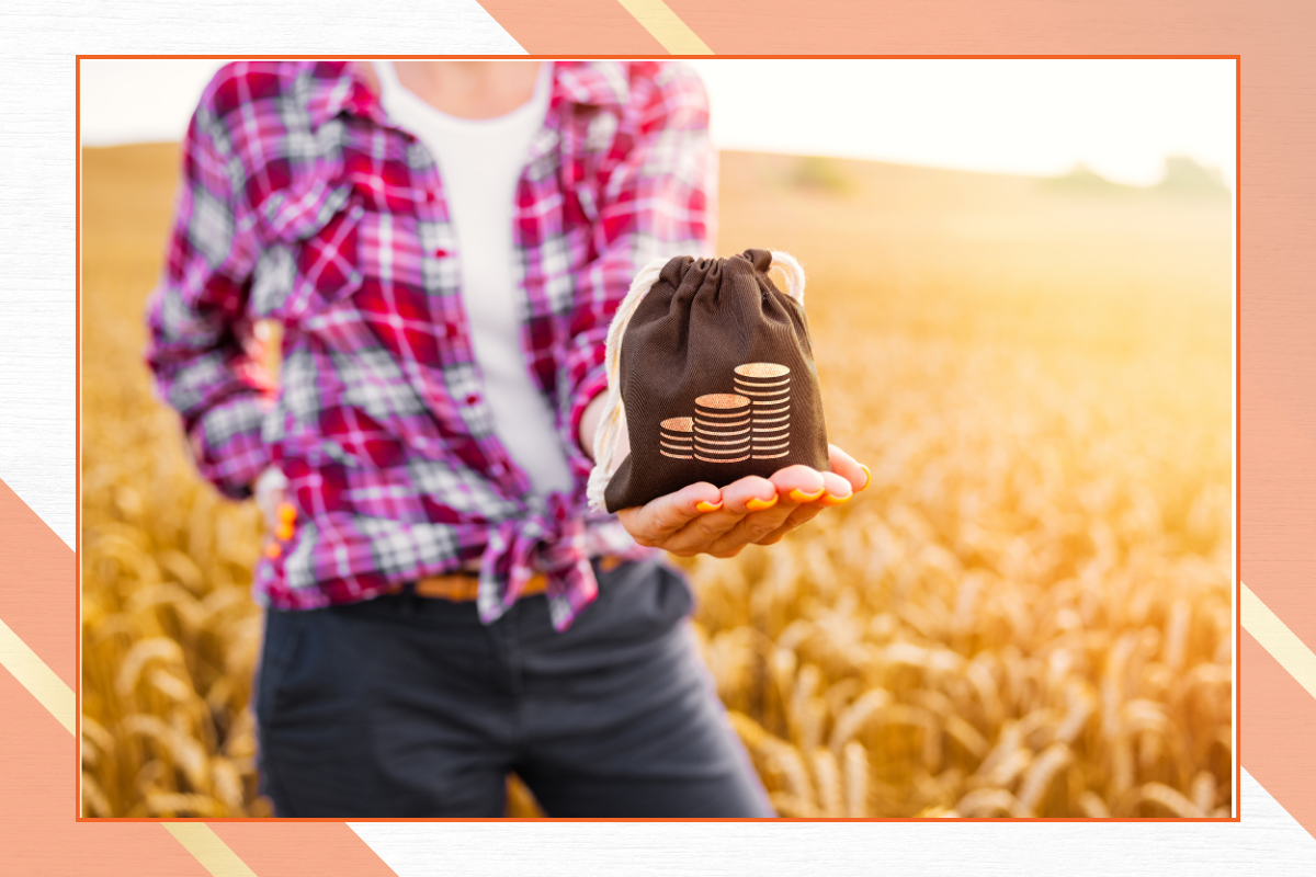 Finanziamenti per attività agricole opportunità e bandi in Italia